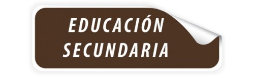 Educación secundaria